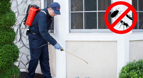 Ulukent Böcek İlaçlama böcek ilaçlama ve haşere kontrolü — ilaclama-tr.com
